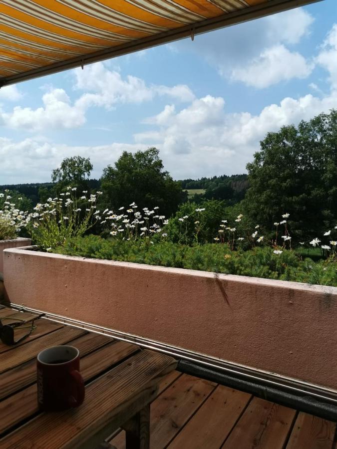Silberborn Ferienwohnung Im Naturpark Solling Vogler מראה חיצוני תמונה
